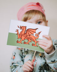 Cardiff Flag